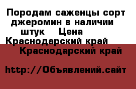 Породам саженцы.сорт джеромин.в наличии 15штук. › Цена ­ 200 - Краснодарский край  »    . Краснодарский край